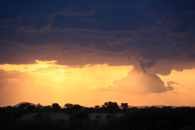 serengeti